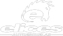 Driver School Logo